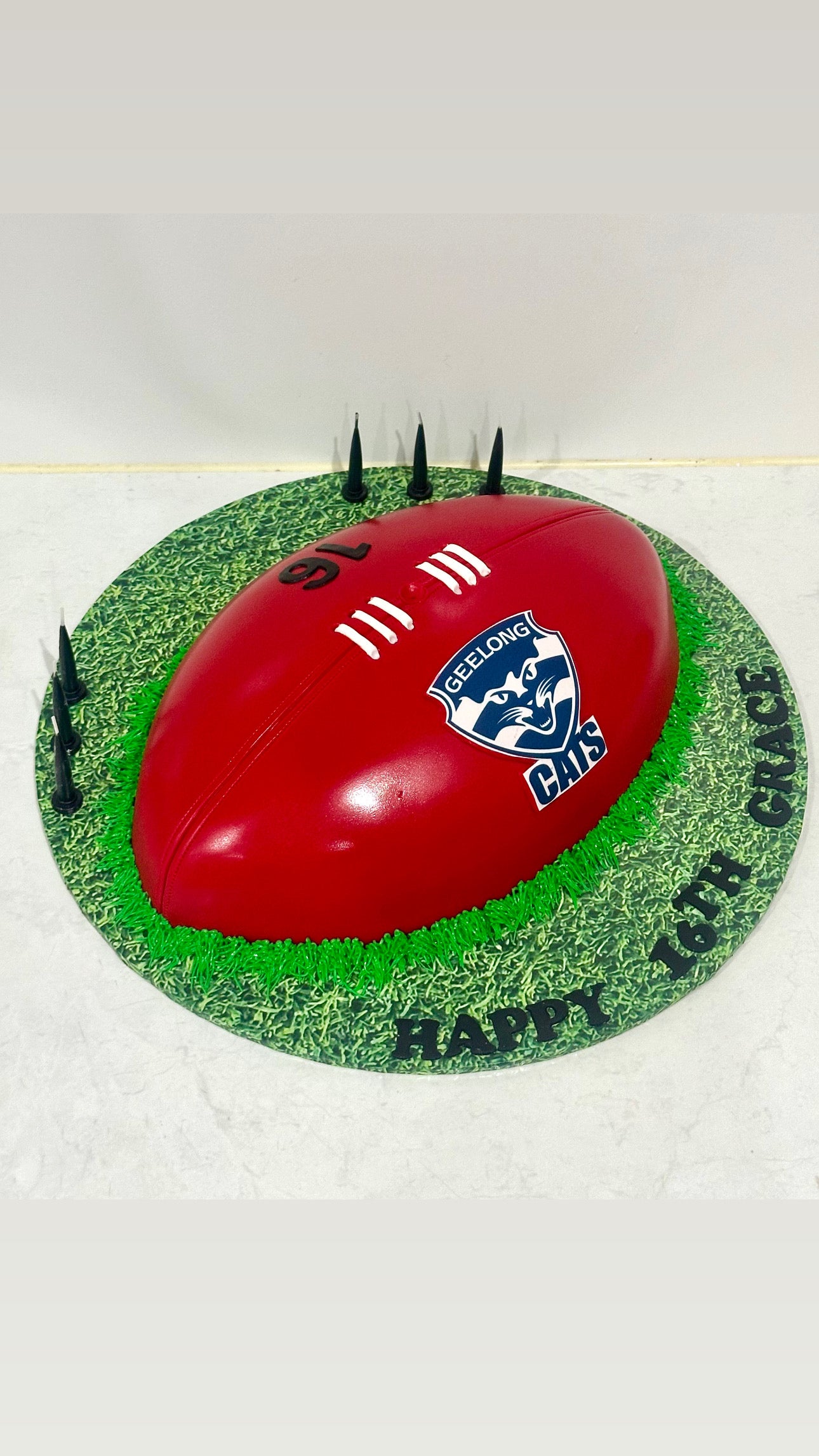 Novelty Cakes